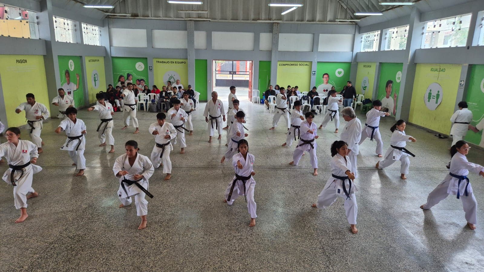 Shiai para Ranking 2026